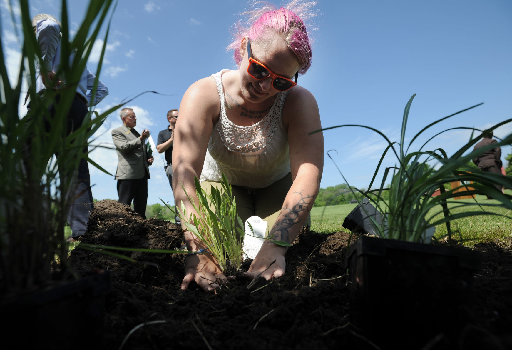 POLLINATOR PATCH PROGRAM UWP